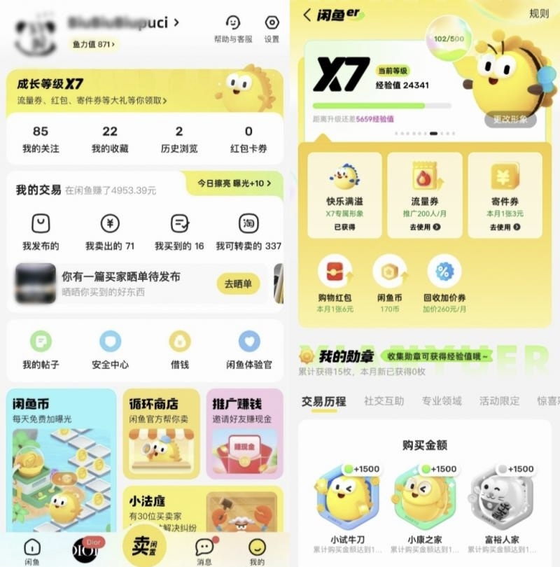 【闲鱼灰度测试“会员体系…#情报-搞钱线报📢论坛-网创交流-优创圈